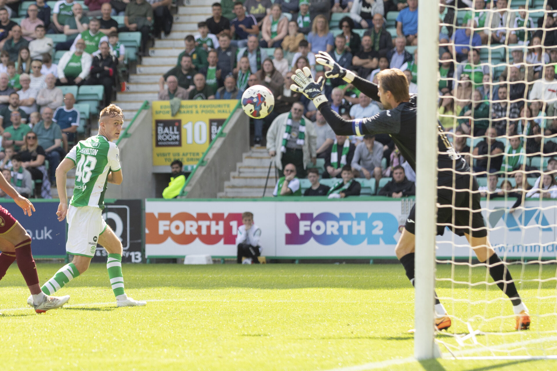 Young Hibees